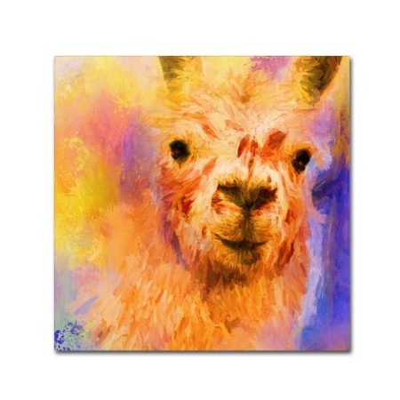 Jai Johnson 'Jazzy Llama' Canvas Art,14x14